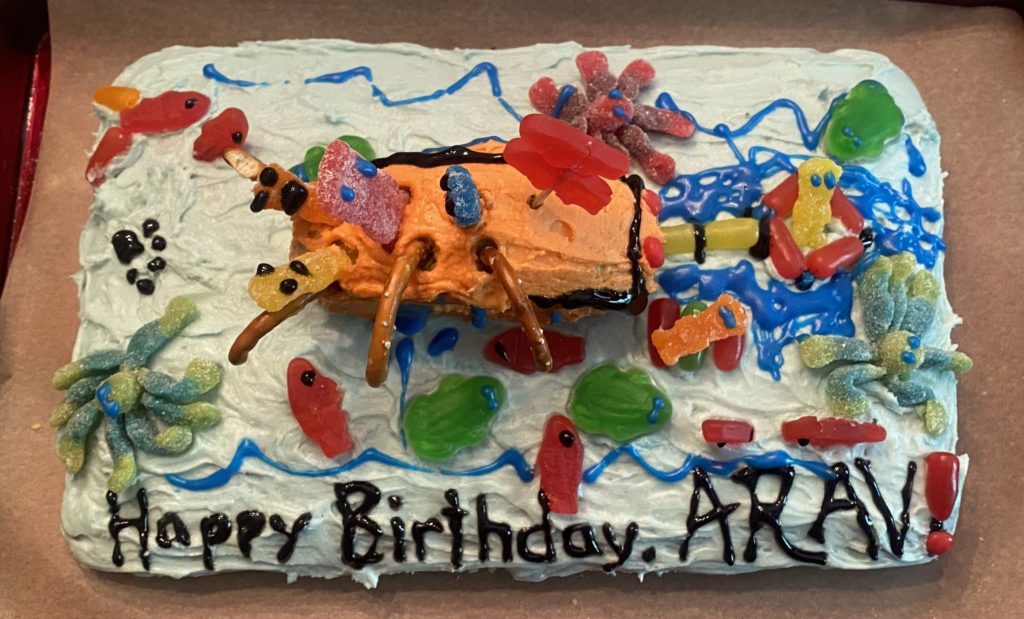 home made birthday cake underwater scene fishing birthday cake fishing cake diy fish in an ocean and a boat